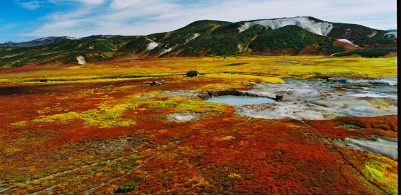 Дикая природа Камчатки становится недоступна для туристов