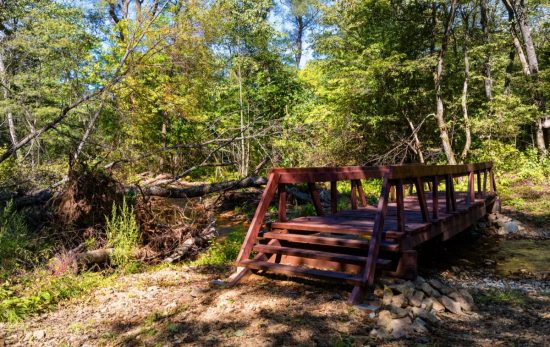 «Земля леопарда» вновь готова к встрече туристов