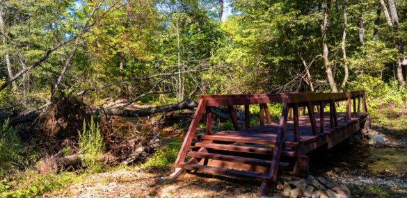 «Земля леопарда» вновь готова к встрече туристов