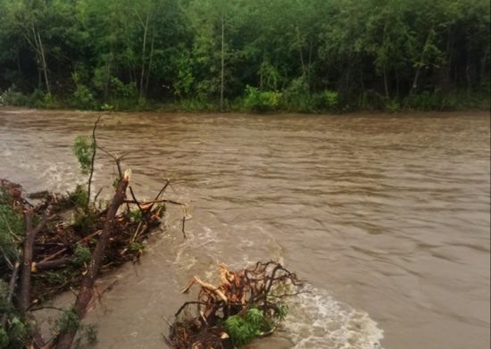 Часть туристических объектов «Земли леопарда» недоступна после дождей