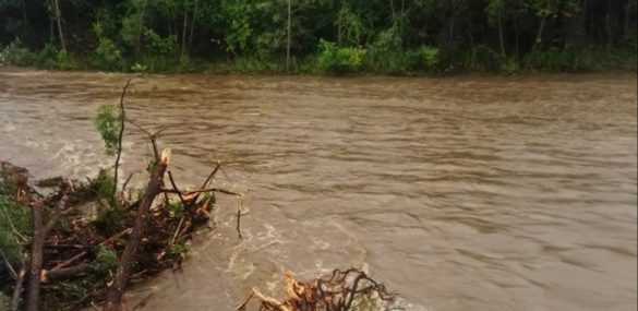 Часть туристических объектов «Земли леопарда» недоступна после дождей