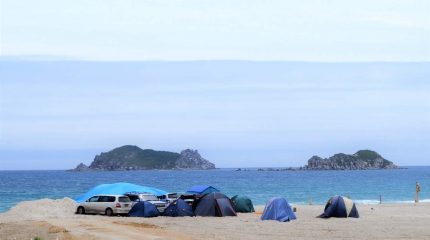 Муниципалитеты Приморья в течение двух недель должны навести порядок на пляжах и в местах отдыха