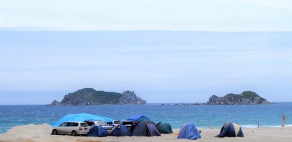 Муниципалитеты Приморья в течение двух недель должны навести порядок на пляжах и в местах отдыха