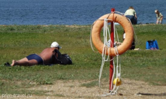 Отдыхающих во Владивостоке предупредили о доступных пляжах и возможном появлении акул