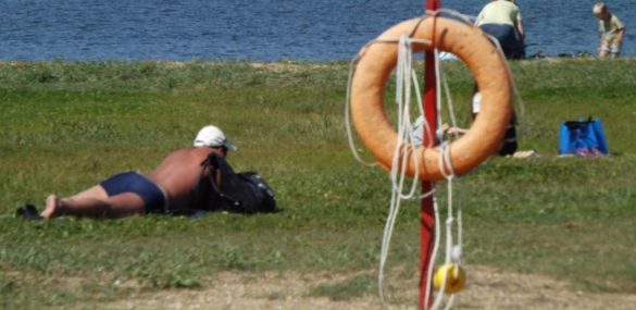 Отдыхающих во Владивостоке предупредили о доступных пляжах и возможном появлении акул