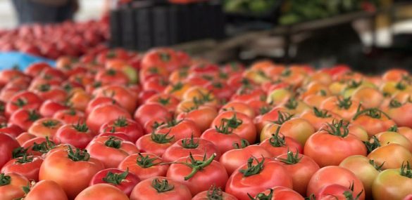 В Черниговском районе края ждут гостей на фестиваль томатов «Бешеная Ягода»