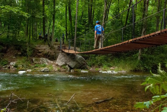 В Сихотэ-Алинском заповеднике появилась «Тропа Тигров»