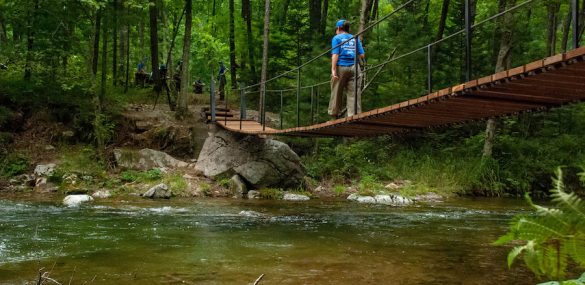 В Сихотэ-Алинском заповеднике появилась «Тропа Тигров»