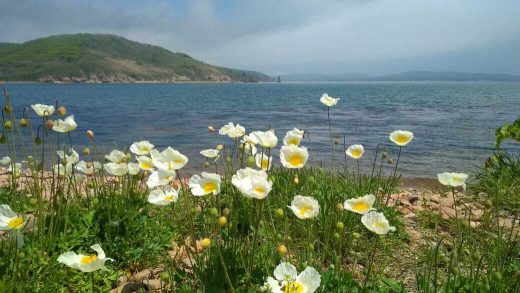 40-тысячный кэшбек при поездке на Дальний Восток – это лишь слова