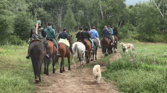 На Камчатке на ДВ-гектаре развивают конный туризм