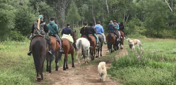 На Камчатке на ДВ-гектаре развивают конный туризм