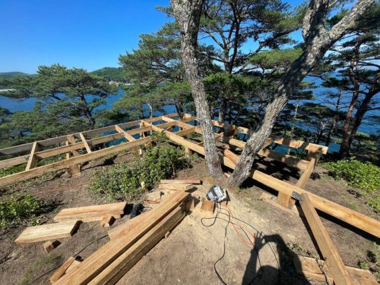 В нацпарке «Земля леопарда» спасают природные красоты на п-ве Гамова