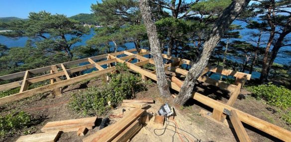 В нацпарке «Земля леопарда» спасают природные красоты на п-ве Гамова