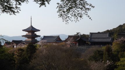 Около 3 300 россиян посетили Японию с начала года