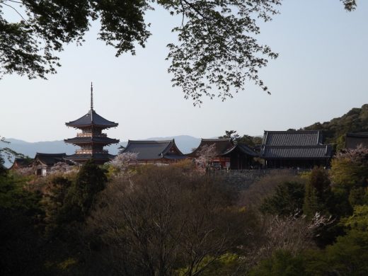 Около 3 300 россиян посетили Японию с начала года