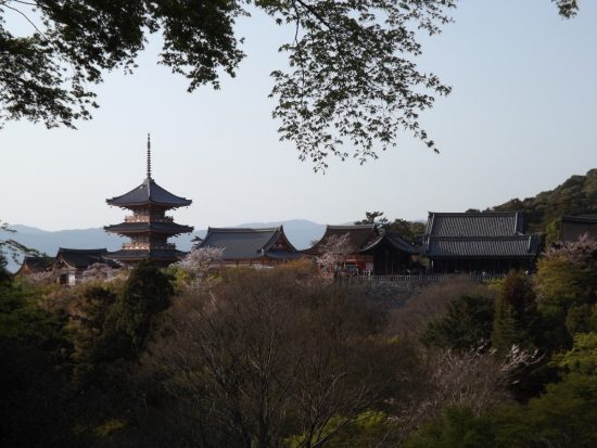 Около 3 300 россиян посетили Японию с начала года