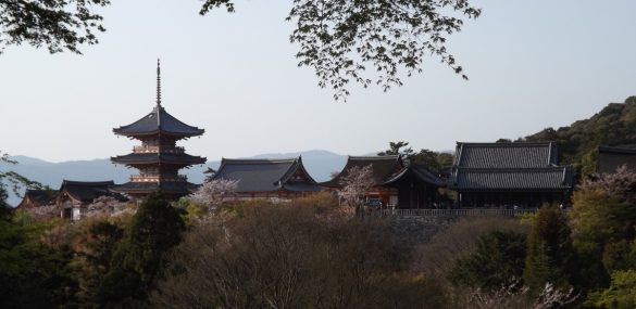 Около 3 300 россиян посетили Японию с начала года