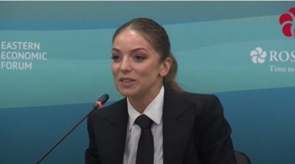 Ростуризм предлагает вернуться к электронным визам для въезда иностранцев в Россию