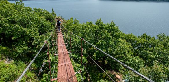 В Амурской области начинают аттестацию гидов, экскурсоводов и инструкторов на турмаршрутах
