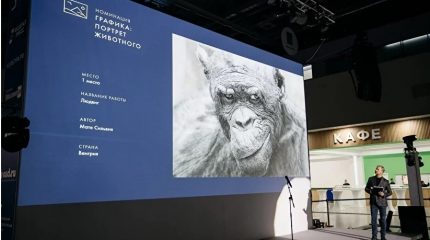 «Золотая черепаха» расскажет приморцам о природе и связи человека с окружающим миром