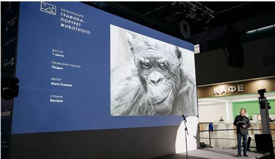 «Золотая черепаха» расскажет приморцам о природе и связи человека с окружающим миром