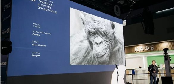 «Золотая черепаха» расскажет приморцам о природе и связи человека с окружающим миром