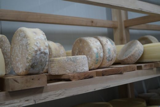 Агротуризм в Приморье получит 10 миллионов рублей на развитие