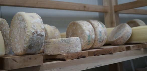 Агротуризм в Приморье получит 10 миллионов рублей на развитие