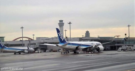 Японская компания ANA будет предлагать экологически чистое питание на борту