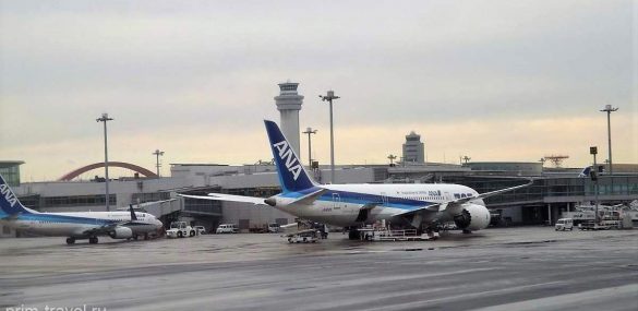 Японская компания ANA будет предлагать экологически чистое питание на борту