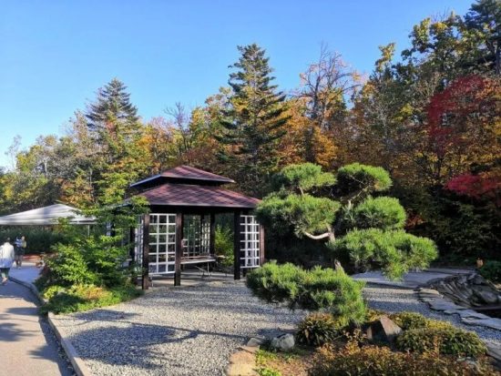 Ботанический сад посетило на 40% больше владивостокцев и гостей города