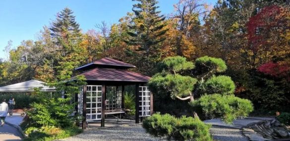 Ботанический сад посетило на 40% больше владивостокцев и гостей города