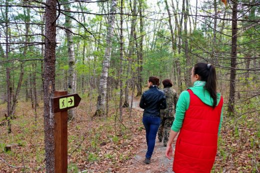 Побит рекорд по турпотоку на «Земле леопарда» за последние 10 лет