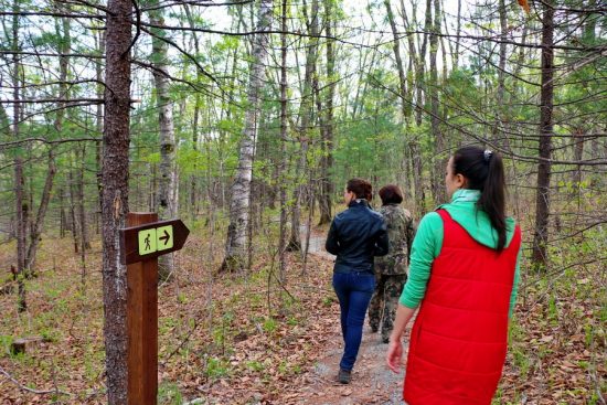 Побит рекорд по турпотоку на «Земле леопарда» за последние 10 лет