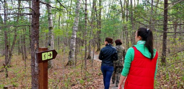 Побит рекорд по турпотоку на «Земле леопарда» за последние 10 лет