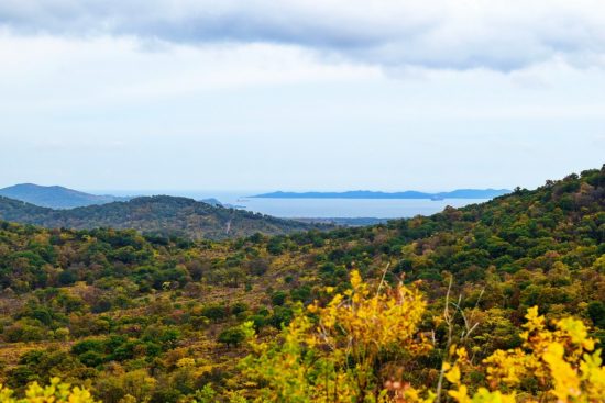 Популярный маршрут нацпарка «Земля леопарда» закрыт из-за угрозы пожаров