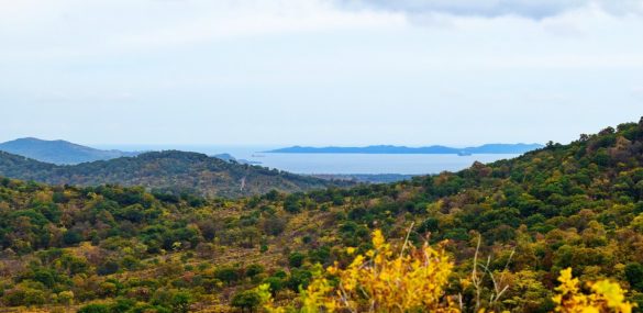 Популярный маршрут нацпарка «Земля леопарда» закрыт из-за угрозы пожаров