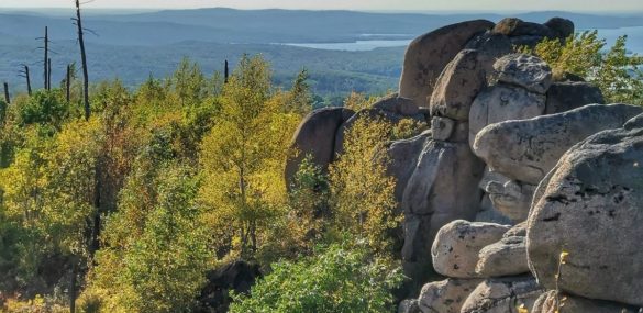 Приамурье приняло на 22% больше туристов, чем год назад