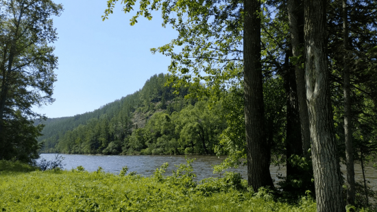 Национальный парк «Бикин» отметил 7-й День Рождения