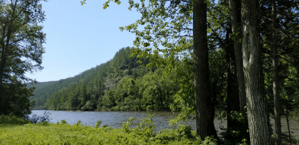 Национальный парк «Бикин» отметил 7-й День Рождения