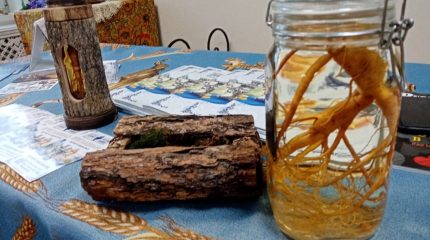 Во Владивостоке заработал Музей Женьшеня