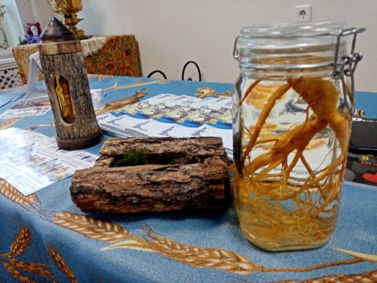 Во Владивостоке заработал Музей Женьшеня