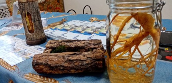 Во Владивостоке заработал Музей Женьшеня