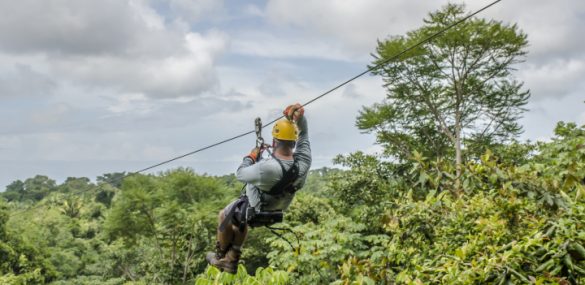 Уникальный эко-парк для активного отдыха построят на Сахалине