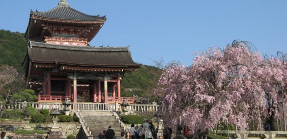 Пока приморцы ездят в Японию чаще по делам, чем ради туризма