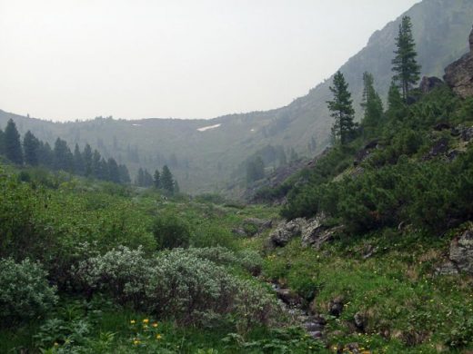 Отдых и туризм возле Уссурийского заповедника оцифровали