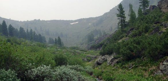 Отдых и туризм возле Уссурийского заповедника оцифровали