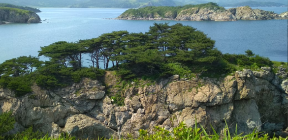 Приморье в 2023 году готовится принять около 3,8 миллионов туристов