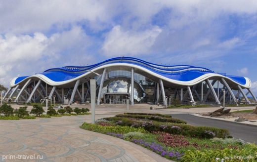 Новые условия работы океанариума с туркомпаниями не устроили турбизнес Приморья