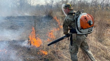 Лесные пожары закрыли в Приморье доступ к природными объектам